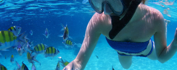 snorkeling en République Dominicaine