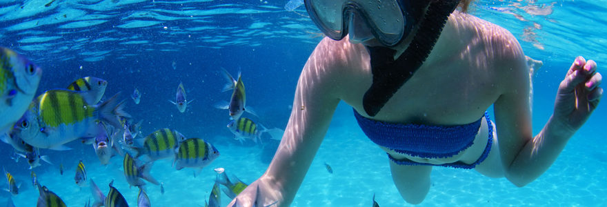 snorkeling en République Dominicaine